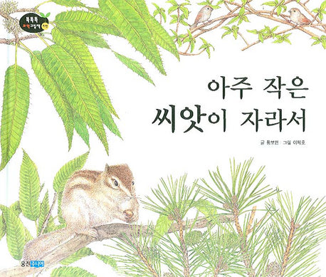 아주 작은 씨앗이 자라서(똑똑똑 과학그림책 14(자연))(양장본 Hardcover)
