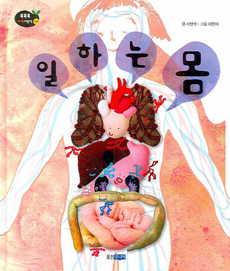 일하는 몸(똑똑똑 과학그림책 인체 26)(양장본 HardCover)