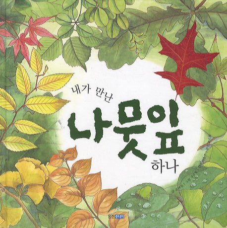 내가 만난 나뭇잎 하나(지식 그림책 20)(양장본 Hardcover)