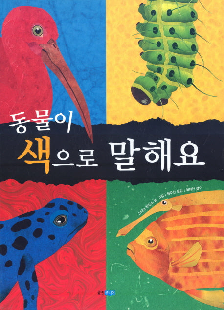 동물이 색으로 말해요(지식 그림책 21)(양장본 Hardcover)