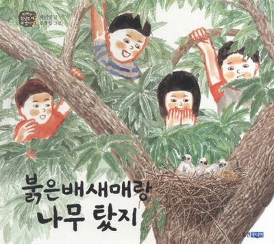 붉은배새매랑 나무 탔지(아빠는 심심할 때 뭐 했어 3)(양장본 HardCover)