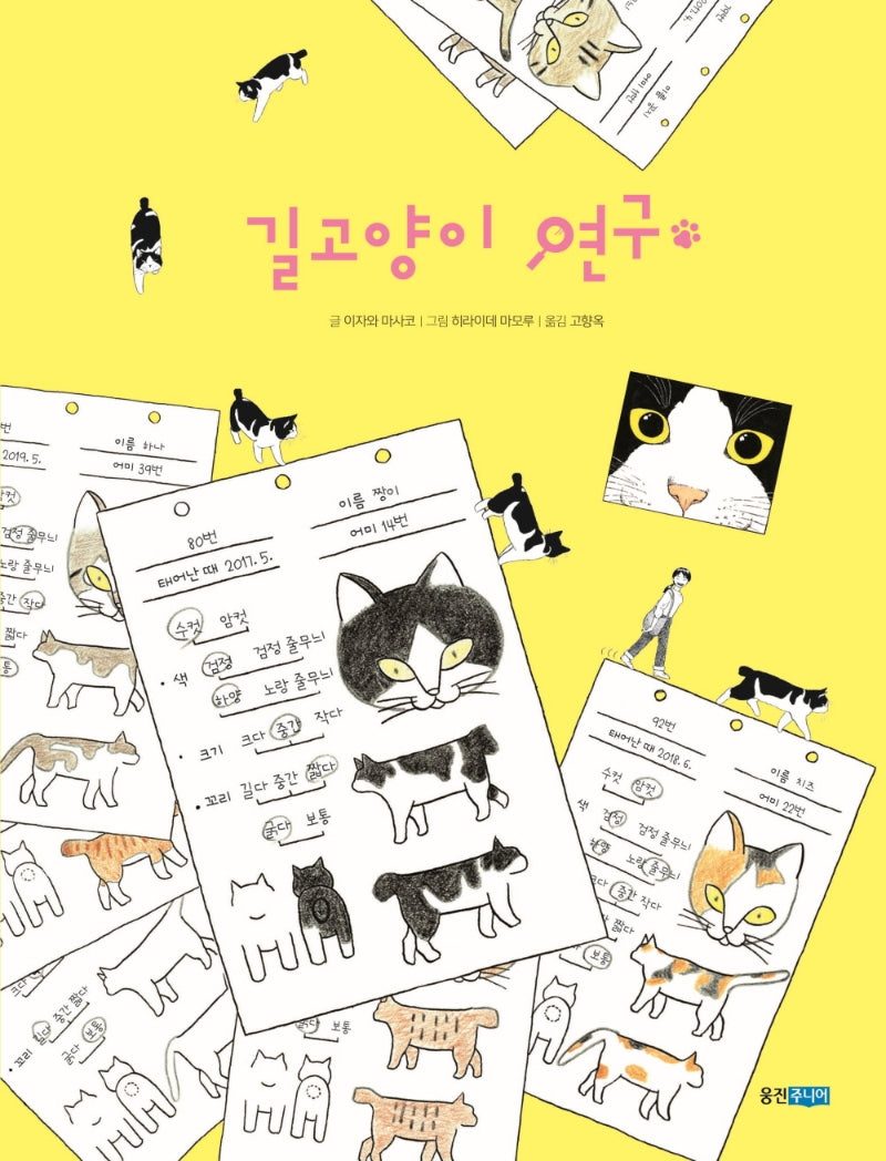 길고양이 연구(양장본 Hardcover)