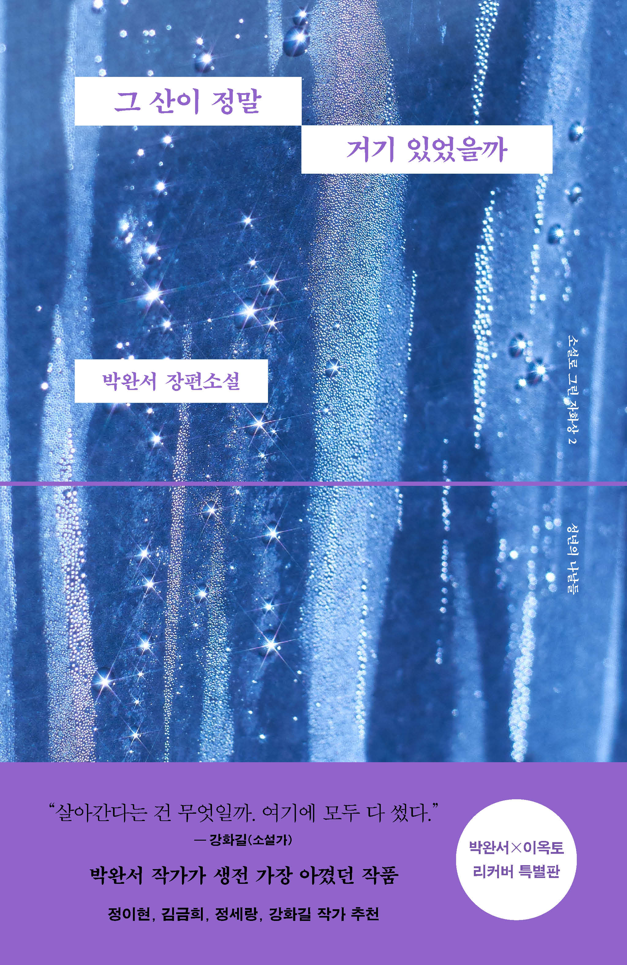 그 산이 정말 거기 있었을까(박완서 X 이옥토 리커버 특별판)(소설로 그린 자화상 2: 성년의 나날들)