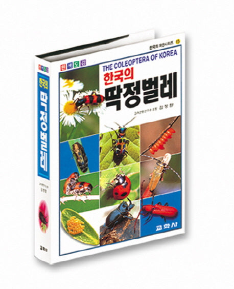 한국의 딱정벌레(원색도감)(한국의 자연시리즈 15)
