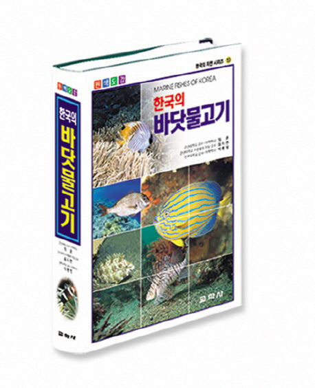 한국의 바닷물고기(원색도감)(한국의 자연시리즈 19)