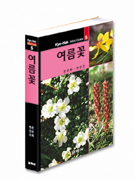 여름꽃(교학 미니가이드 5)