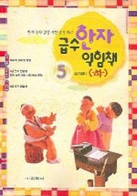 급수 한자 익힘책 5급 (하)