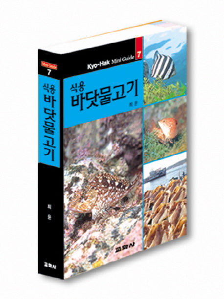 식용 바닷물고기(교학 미니가이드 7)(포켓북(문고판))