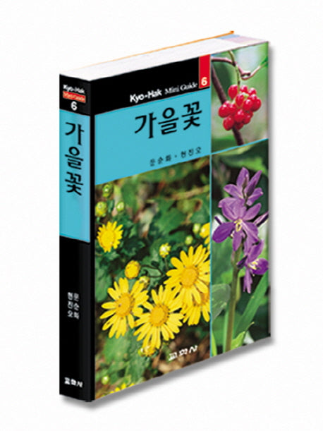 가을꽃(교학 미니가이드 6)