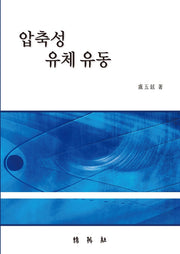 압축성 유체 유동