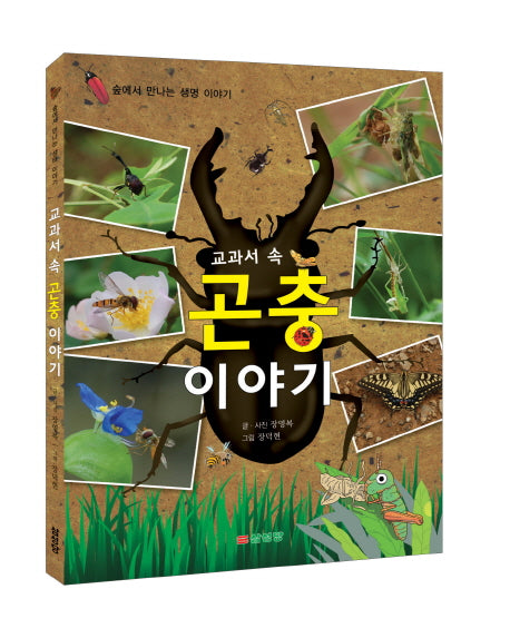 교과서 속 곤충 이야기