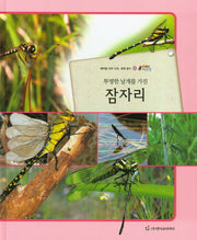 잠자리(투명한 날개를 가진)(올빼미 자연관찰 2)(양장본 HardCover)