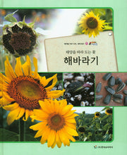 해바라기(태양을 따라 도는 꽃)(올빼미 자연관찰 26)(양장본 HardCover)