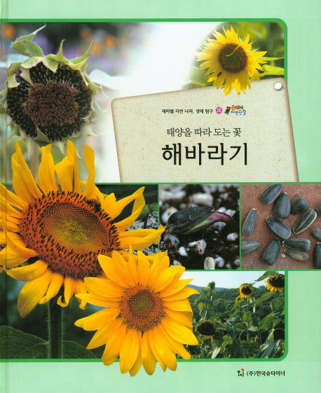 해바라기(태양을 따라 도는 꽃)(올빼미 자연관찰 26)(양장본 HardCover)