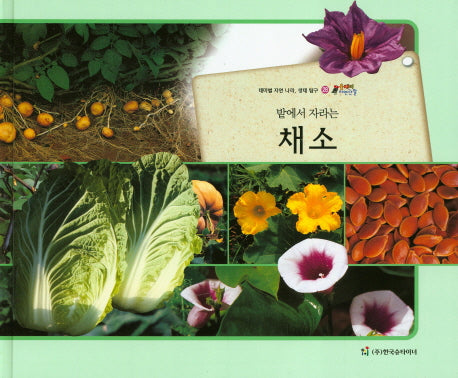 채소(밭에서 자라는)(올빼미 자연관찰 28)(양장본 HardCover)