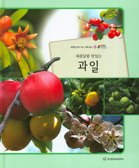 과일(새콤달콤 맛있는)(올빼미 자연관찰 30)(양장본 HardCover)