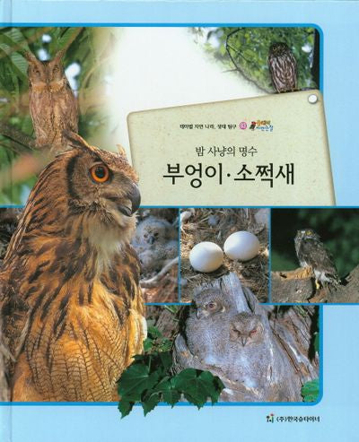 부엉이 소쩍새(밤 사냥의 명수)(올빼미 자연관찰 63)(양장본 HardCover)