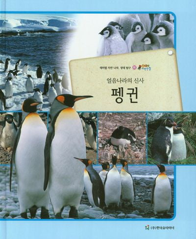 펭귄(얼음나라의 신사)(올빼미 자연관찰 66)(양장본 HardCover)