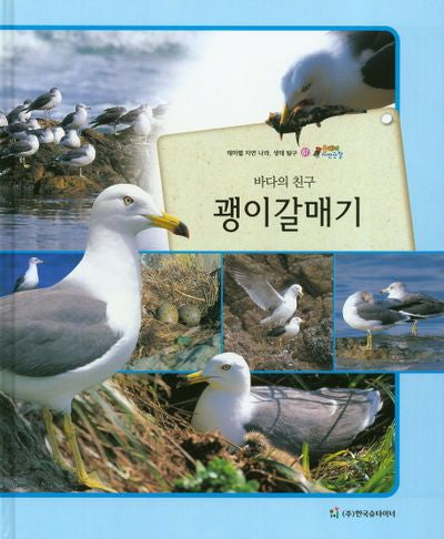 괭이갈매기(바다의 친구)(올빼미 자연관찰 67)(양장본 HardCover)