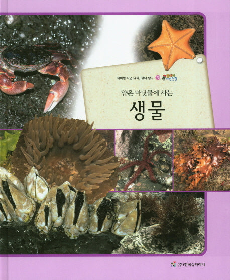 생물(얕은 바닷물에 사는)(올빼미 자연관찰 73)(양장본 HardCover)