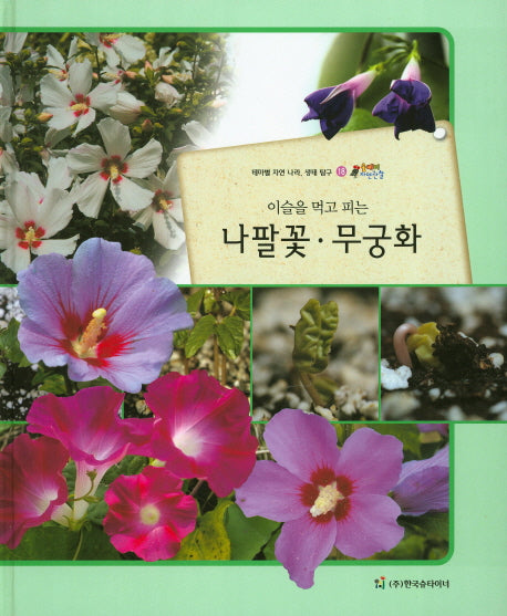 나팔꽃 무궁화(이슬을 먹고 피는)(올빼미 자연관찰 18)(양장본 HardCover)