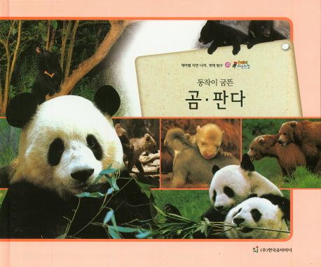 곰 판다(동작이 굼뜬)(올빼미 자연관찰 43)(양장본 HardCover)
