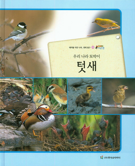 텃새(우리 나라 토박이)(올빼미 자연관찰 58)(양장본 HardCover)