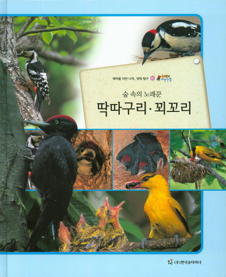 딱따구리 꾀꼬리(숲 속의 노래꾼)(올빼미 자연관찰 60)(양장본 HardCover)