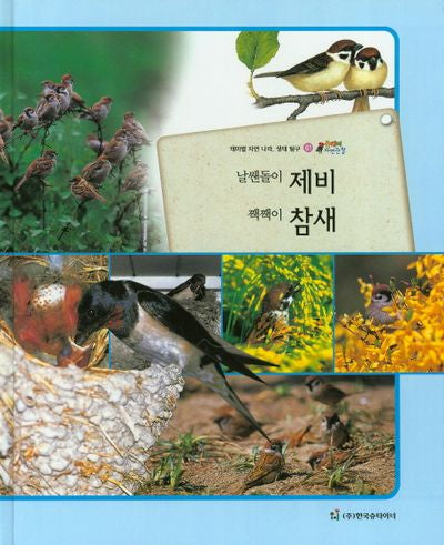 날쌘돌이 제비 짹짹이 참새(올빼미 자연관찰 61)(양장본 HardCover)
