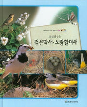 검은딱새 노랑할미새(조심성 많은)(올빼미 자연관찰 62)(양장본 HardCover)