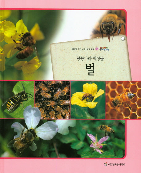 벌(붕붕나라 백성들)(올빼미 자연관찰 10)(양장본 HardCover)