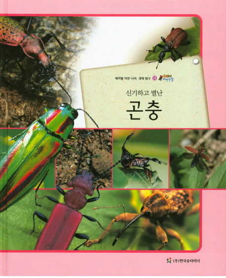 곤충(신기하고 별난)(올빼미 자연관찰 13)(양장본 HardCover)