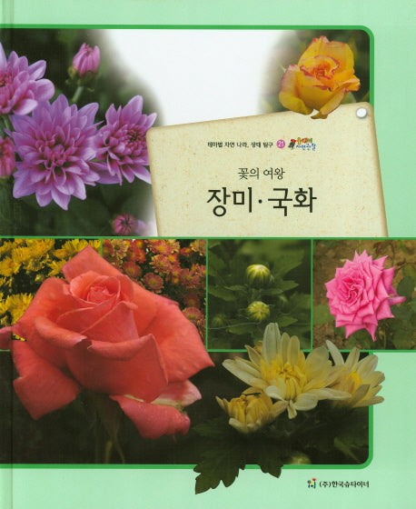 장미 국화(꽃의 여왕)(올빼미 자연관찰 21)(양장본 HardCover)