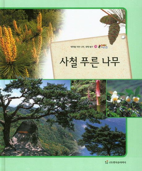 사철 푸른 나무(올빼미 자연관찰 24)(양장본 HardCover)