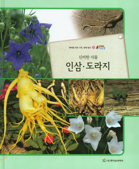 인삼 도라지(신비한 식물)(올빼미 자연관찰 25)(양장본 HardCover)