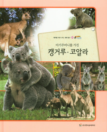 캥거루 코알라(아기주머니를 가진)(올빼미 자연관찰 46)(양장본 HardCover)