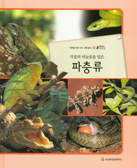 파충류(각질의 비늘옷을 입은)(올빼미 자연관찰 48)(양장본 HardCover)
