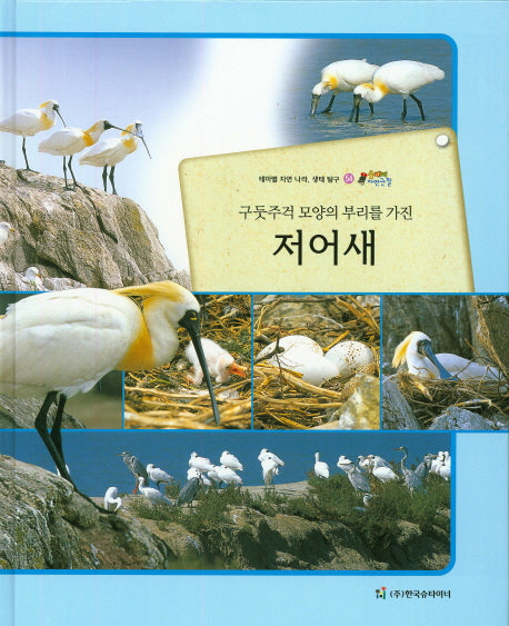 저어새(구둣주걱 모양의 부리를 가진)(올빼미 자연관찰 54)(양장본 HardCover)