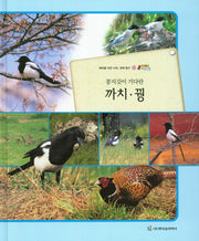 까치 꿩(꽁지깃이 기다란)(올빼미 자연관찰 55)(양장본 HardCover)