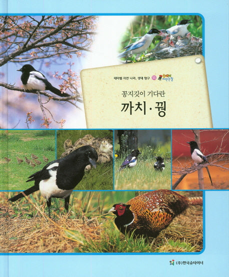 까치 꿩(꽁지깃이 기다란)(올빼미 자연관찰 55)(양장본 HardCover)