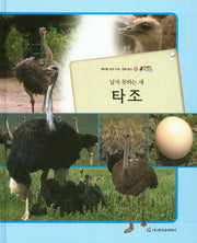 타조(날지 못하는 새)(올빼미 자연관찰 56)(양장본 HardCover)
