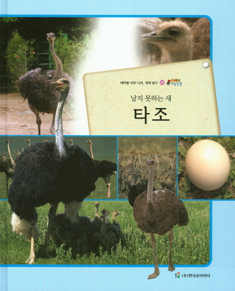 타조(날지 못하는 새)(올빼미 자연관찰 56)(양장본 HardCover)