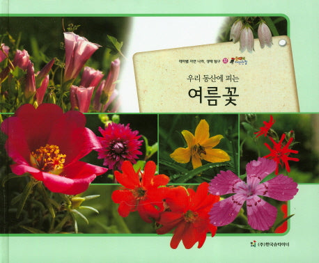 여름꽃(우리 동산에 피는)(올빼미 자연관찰 32)(양장본 HardCover)