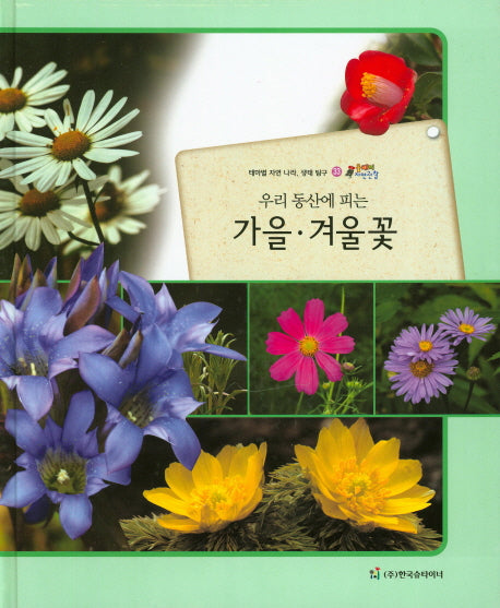 가을 겨울꽃(우리 동산에 피는)(올빼미 자연관찰 33)(양장본 HardCover)