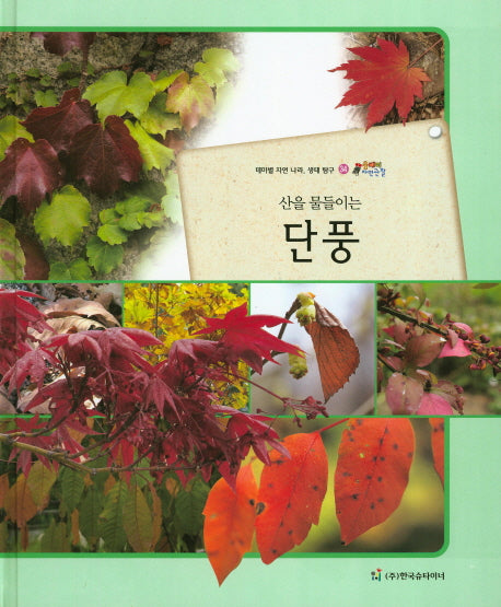 단풍(산을 물들이는)(올빼미 자연관찰 34)(양장본 HardCover)