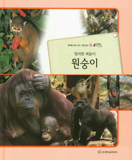 원숭이(영리한 꾀돌이)(올빼미 자연관찰 49)(양장본 HardCover)