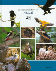 새(기초도감)(올빼미 자연관찰)(양장본 HardCover)