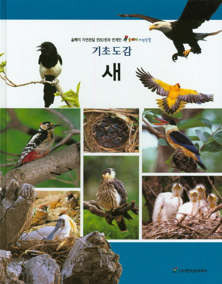 새(기초도감)(올빼미 자연관찰)(양장본 HardCover)