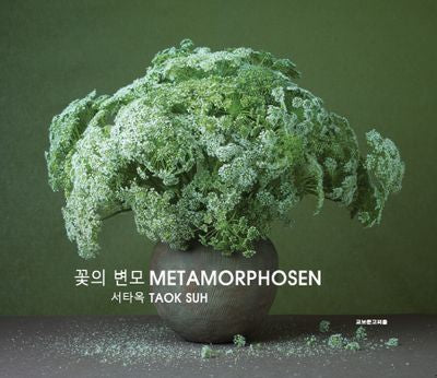 꽃의 변모 Metamorphosen