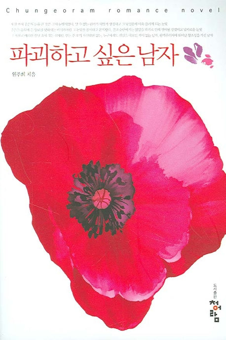 파괴하고 싶은 남자
